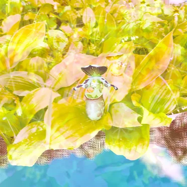 セカンドワルツ