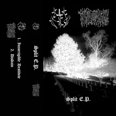 Disdain by Tumultuous Ruin - album cover