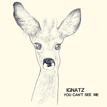 You Can't See Me