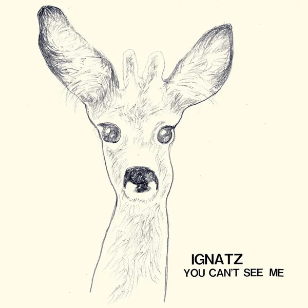 You Can't See Me