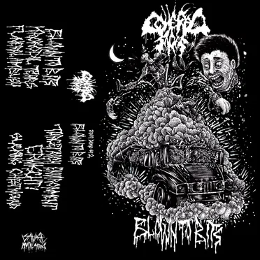 Blown To Bits Demo II by Covered in Sores - album cover