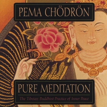 Pure Meditation
