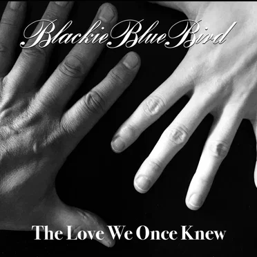 The Love We Once Knew