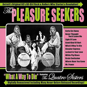 What a Way to Die by The Pleasure Seekers - album cover