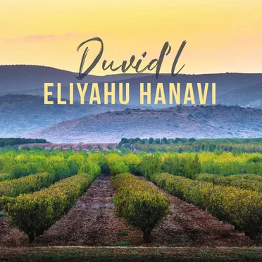Eliyahu Hanavi