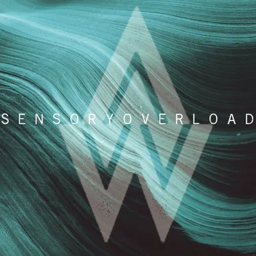 Sensory Overload