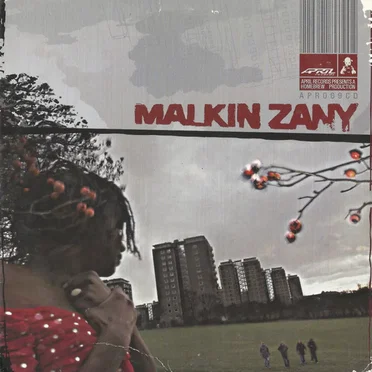 Malkin Zany by Malkin Zany - album cover