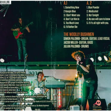 Arduino by The Woolly Bushmen - album cover