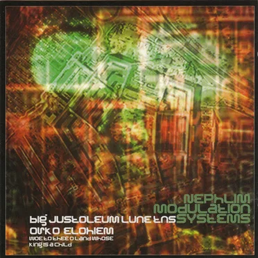 Woe to Thee O Land Whose King Is a Child by Nephlim Modulation Systems - album cover