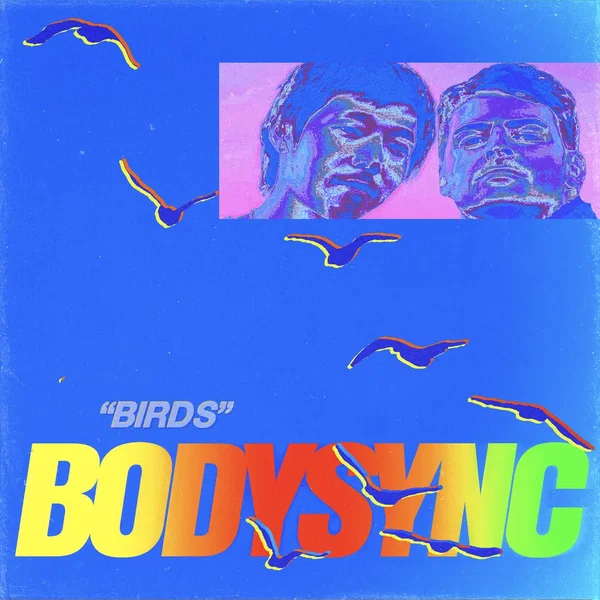 Birds