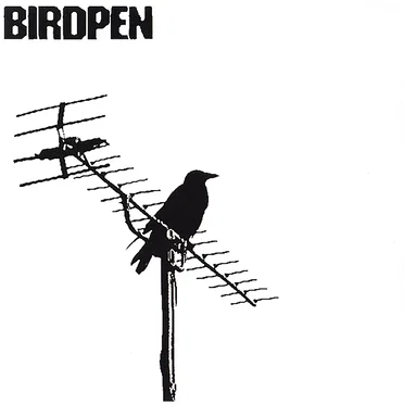 Fake Kid by BirdPen - album cover