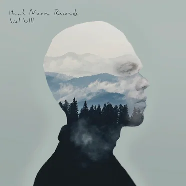 Hawk Moon Records: Volume VIII by Various Artists - album cover