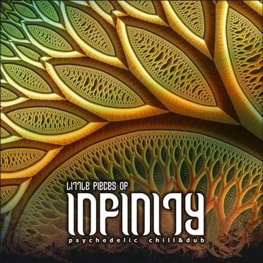 Little Pieces Of Infinity by Various Artists - album cover