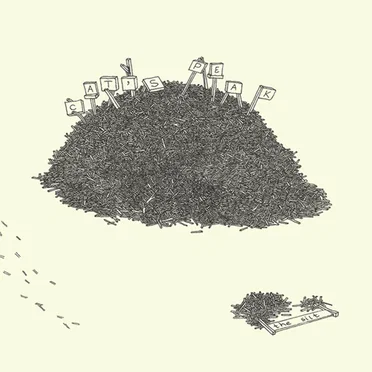 Cat's Peak by The Silt - album cover