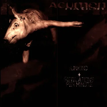 Unkind + Revelations Per Minute by Acumen Nation - album cover