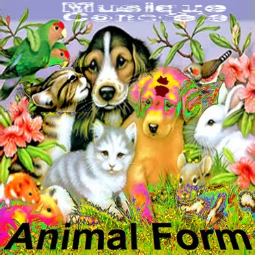 Animal Form by Various Artists - album cover