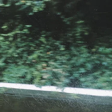 レイニン