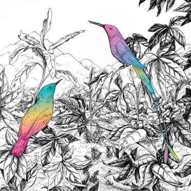 Two Birds by A Vision of Panorama - album cover
