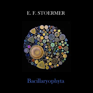 Bacillaryophyta