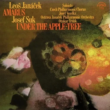 Janáčkova filharmonie Ostrava