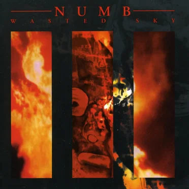 Wasted Sky by Numb - album cover