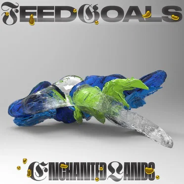 Feed Goals by Enchanted Lands - album cover