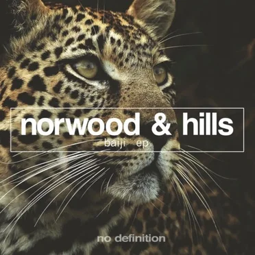 Baiji EP by Norwood & Hills - album cover