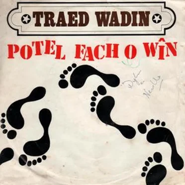 Potel Fach o Wîn by Traed Wadin - album cover