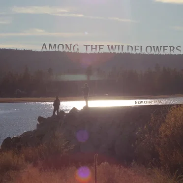 Among the Wildflowers