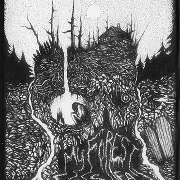 My Forest Is Dead