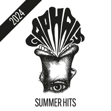 Gaphals Summer Hits 2024 by Various Artists - album cover