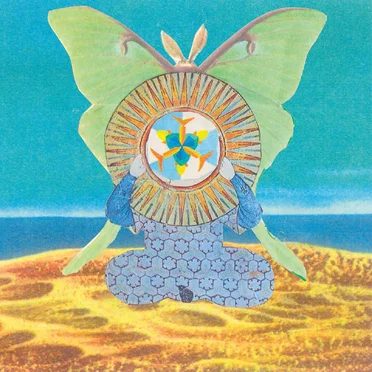 The Jingling World of by The Skygreen Leopards - album cover