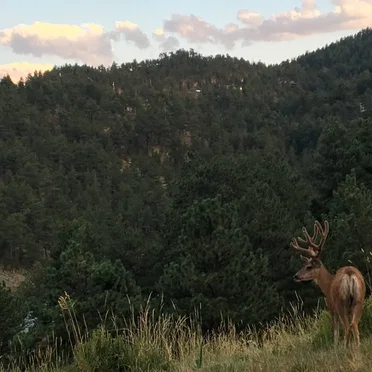 Denver
