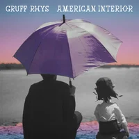 Gruff Rhys artist image