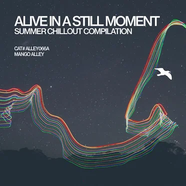 Alive in A Still Moment by Various Artists - album cover