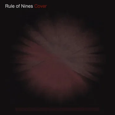 Rule of Nines