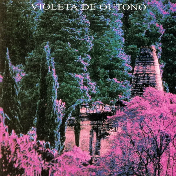 Violeta de Outono