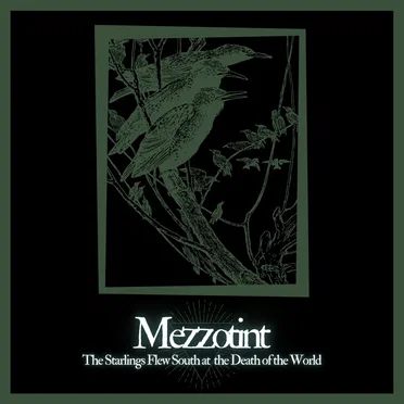 The Starlings Flew South at the Death of the World by Mezzotint - album cover