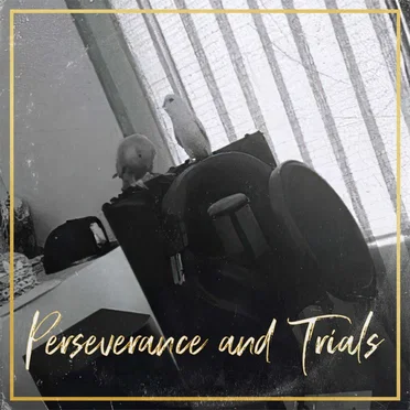 Perseverance and Trials by QLASSIK - album cover