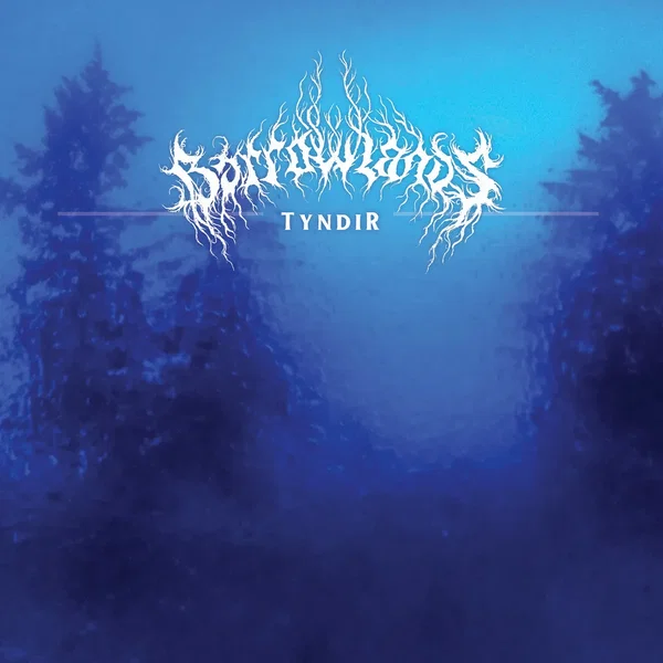 Tyndir