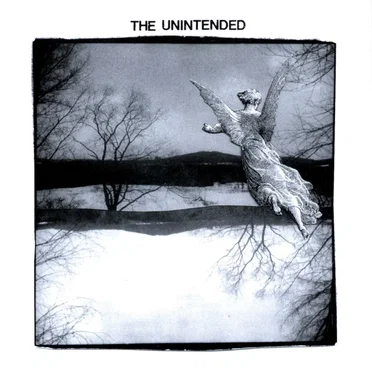 The Unintended