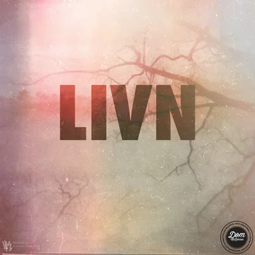 LIVN by Dom McLennon - album cover