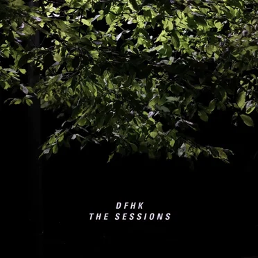 The Sessions by DFHK - album cover