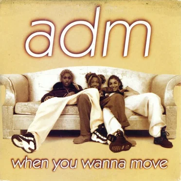 When You Wanna Move by Adm - album cover