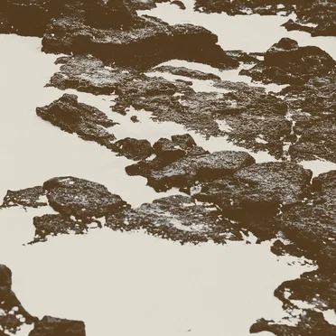 Music for Disintegration by 光淵 (Pool of Light) - album cover