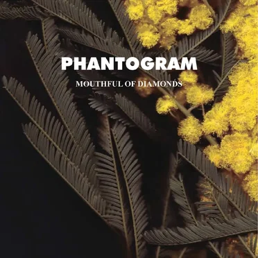 Mouthful of Diamonds