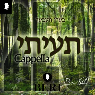 2ec (Akapella - תעיתי כשה אובד)