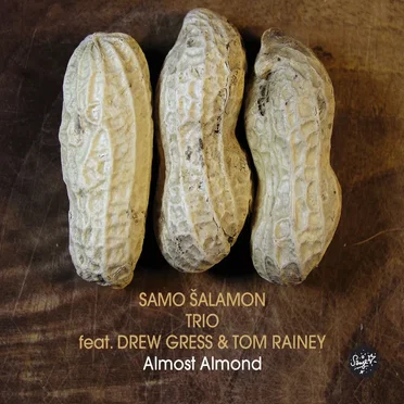 Almost Almond by Samo Šalamon Trio - album cover