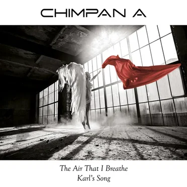 The Air That I Breathe