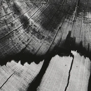 Live at M.O.P., München Germany, May 11th 2003